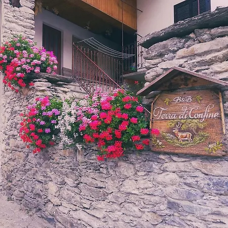 Bed & Breakfast Terra Di Confine *