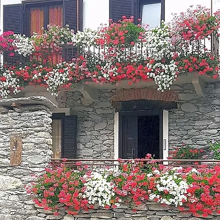 Terra Di Confine